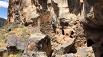 photo thumbnail #9