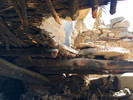 photo thumbnail #12