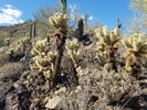 photo thumbnail #6