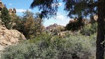 photo thumbnail #12