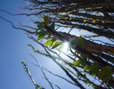 photo thumbnail #1