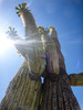 photo thumbnail #8