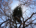 photo thumbnail #10