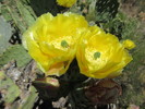 photo thumbnail #15