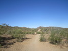 photo thumbnail #1