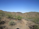 photo thumbnail #4