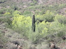 photo thumbnail #8