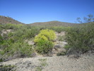 photo thumbnail #11