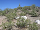 photo thumbnail #13