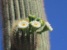 photo thumbnail #14