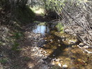 photo thumbnail #13