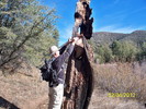 photo thumbnail #8
