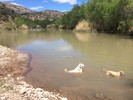 photo thumbnail #1