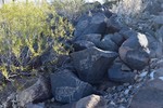 photo thumbnail #4