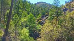 photo thumbnail #7