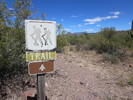 photo thumbnail #7