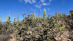 photo thumbnail #2
