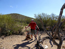 photo thumbnail #12