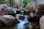 photo thumbnail #5