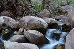 photo thumbnail #9