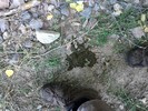 photo thumbnail #12