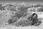 photo thumbnail #15