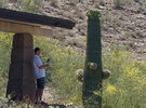 photo thumbnail #4