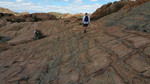 photo thumbnail #15