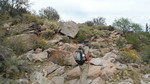 photo thumbnail #4