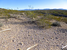 photo thumbnail #3