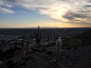 photo thumbnail #1