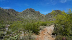 photo thumbnail #1