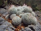 photo thumbnail #7