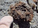 photo thumbnail #10