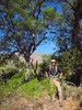 photo thumbnail #3