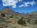 photo thumbnail #13