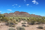 photo thumbnail #2