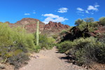 photo thumbnail #5