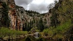 photo thumbnail #2
