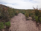 photo thumbnail #11
