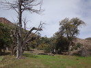 recent photo