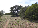 photo thumbnail #12
