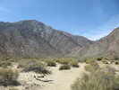 photo thumbnail #2
