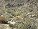 photo thumbnail #11