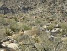 photo thumbnail #12