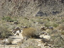 photo thumbnail #13