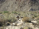photo thumbnail #14