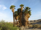 photo thumbnail #10
