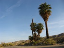 photo thumbnail #11