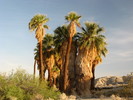 photo thumbnail #14